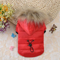 Winter Dog Coat with Hood & Fur Collar
