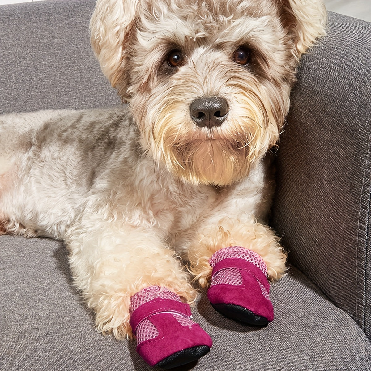 Four Season Universal Breathable Soft Sole Dog Shoes