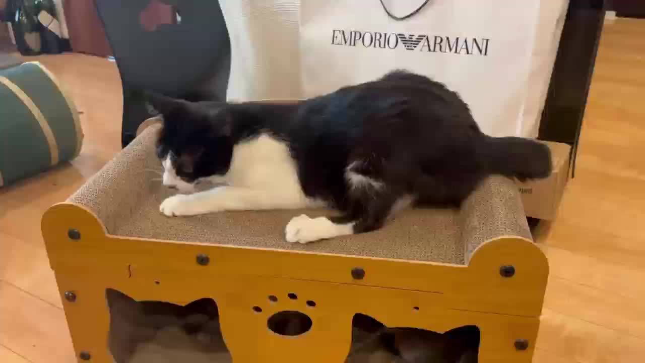 Cat House With Scratching Board