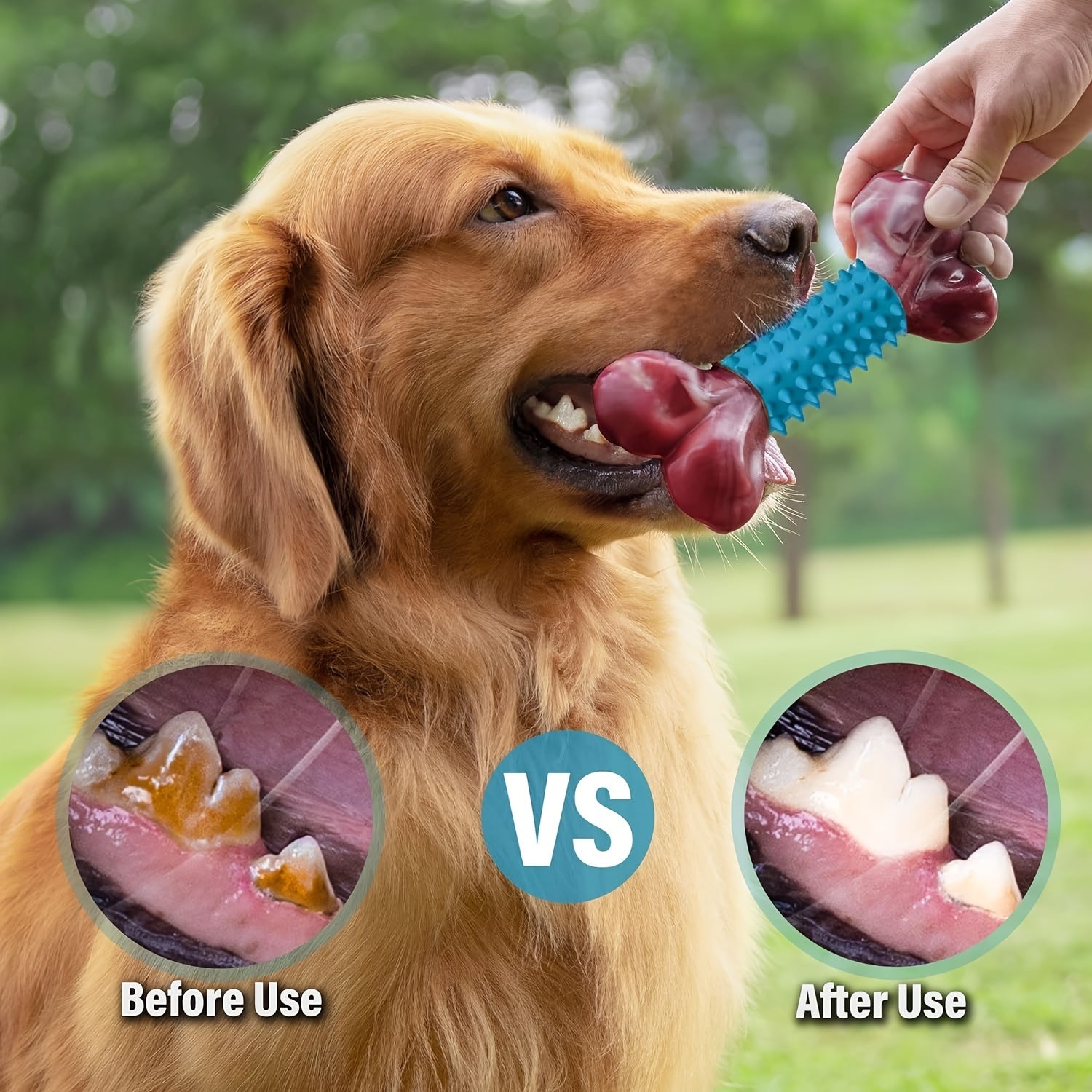 Dog Chew Toys for Medium Dogs