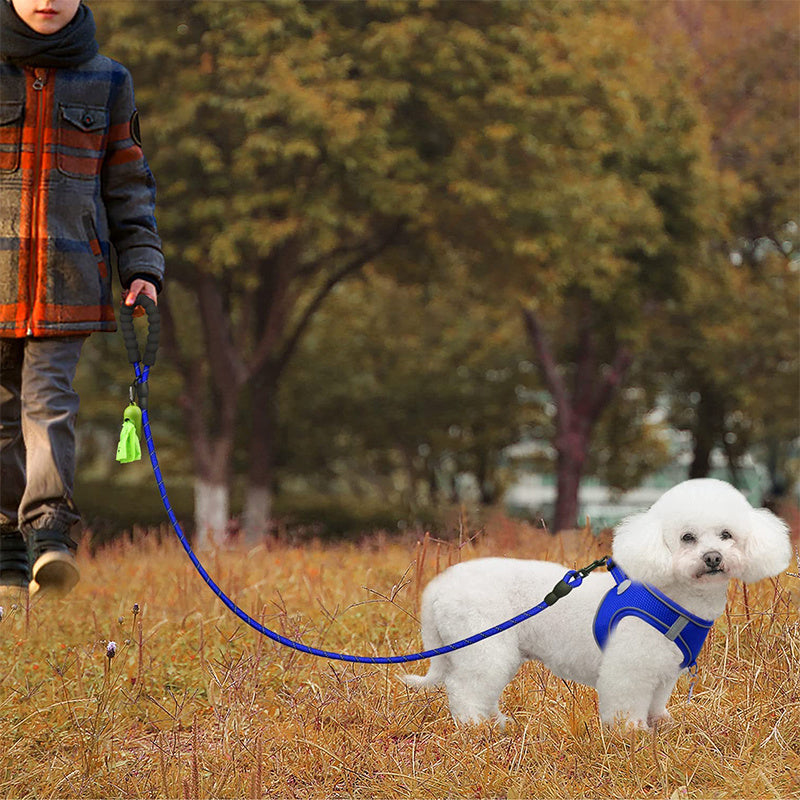 JOYTALE Reflective Dog Leash with Comfortable Padded Handle
