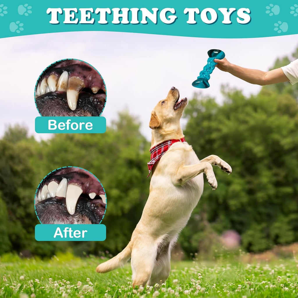 Aggressive Chewing Toys for Large and Medium Dogs, Indestructible