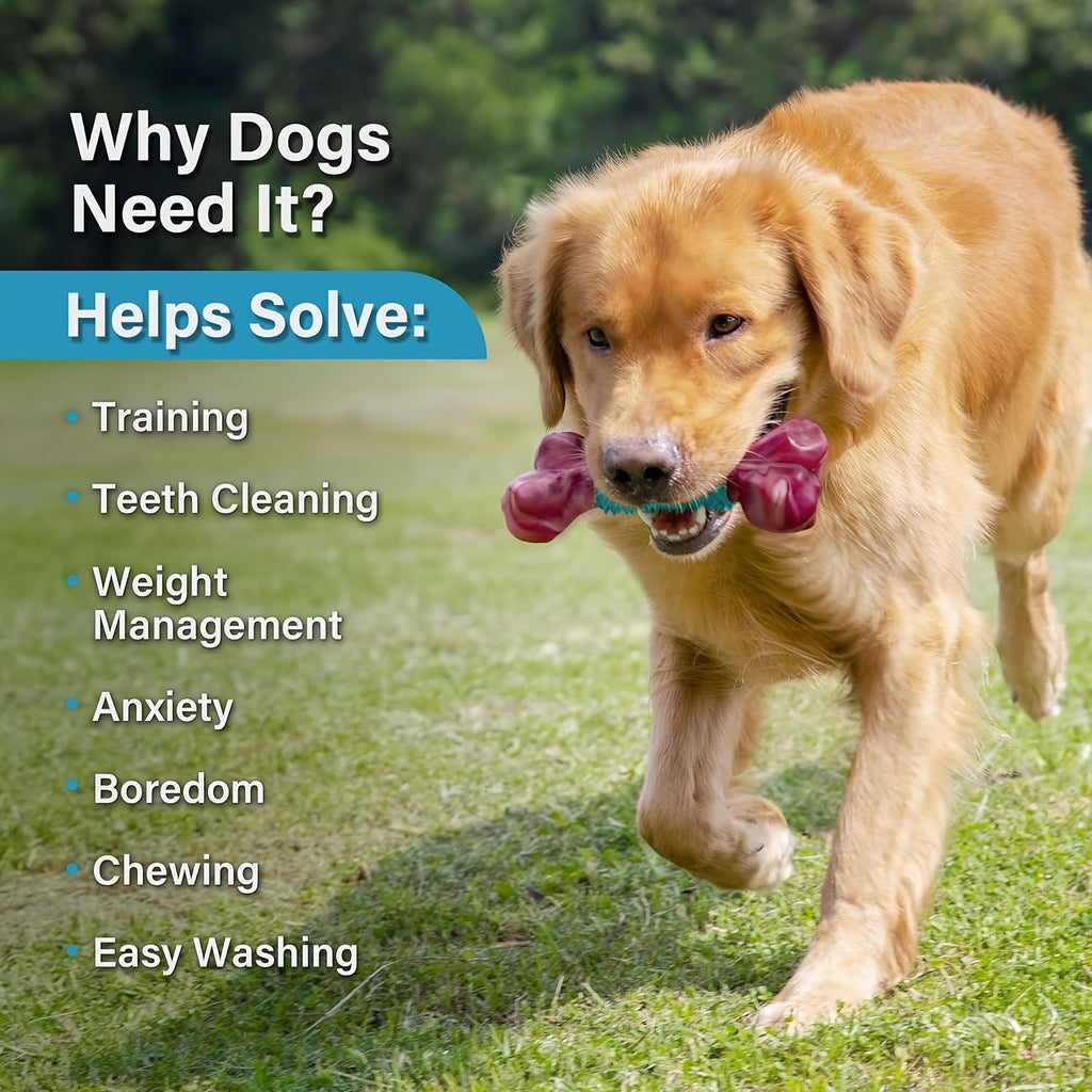 Dog Chew Toys for Medium Dogs