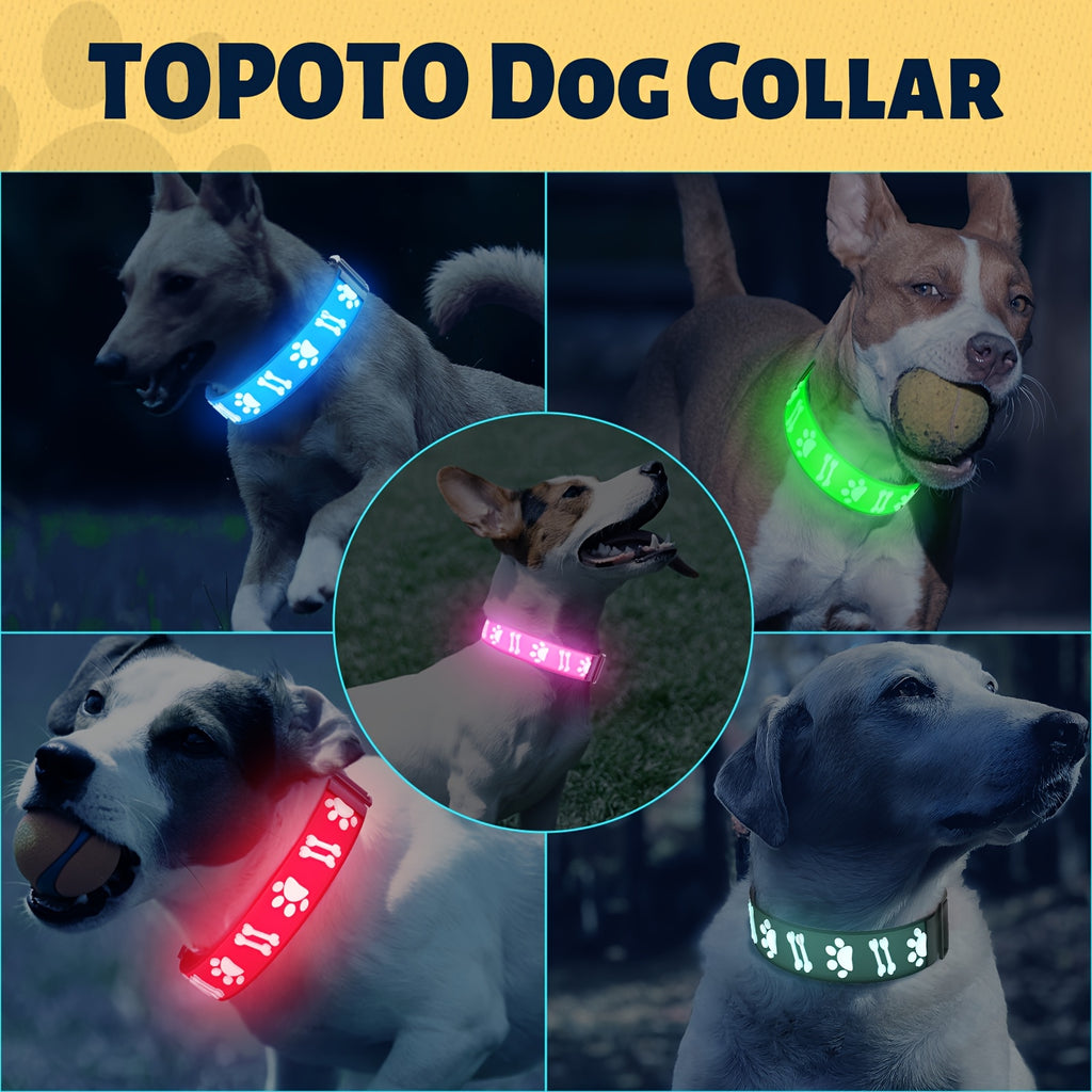 USB-Rechargeable LED Dog Collar with 15 Light Modes