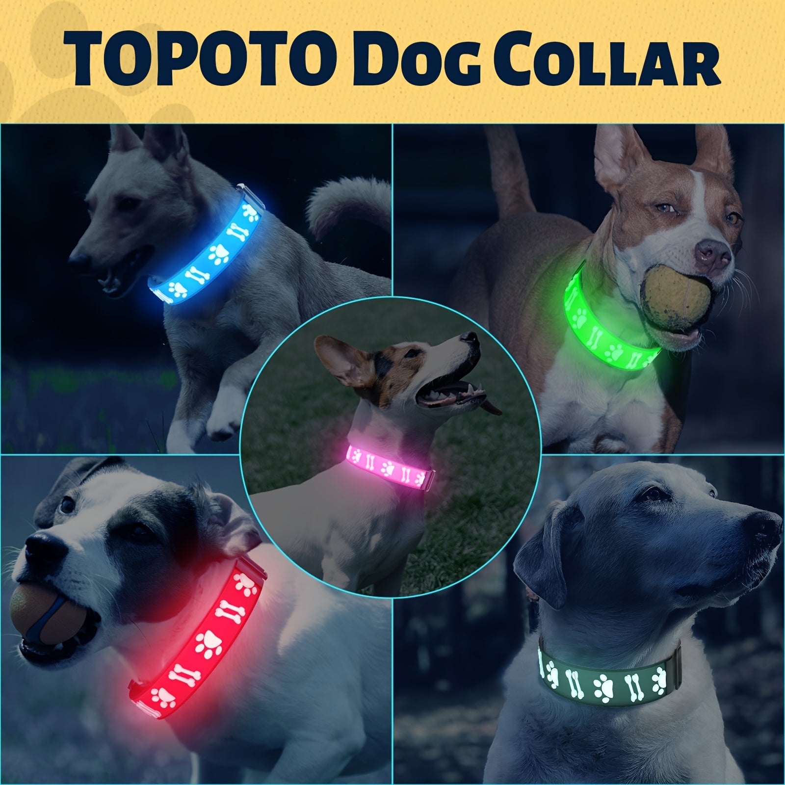 USB-Rechargeable LED Dog Collar with 15 Light Modes
