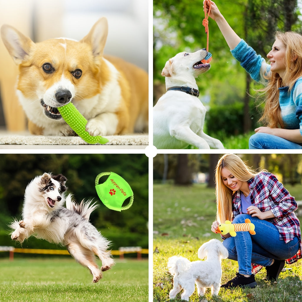25pcs Set Of Dog Toys