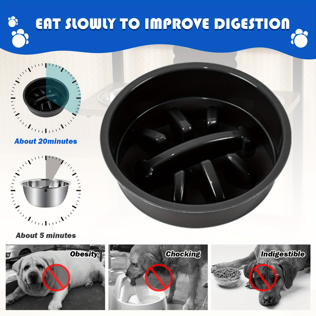 Elevated Dog Bowl With A Slow Feeder Dog Bowl
