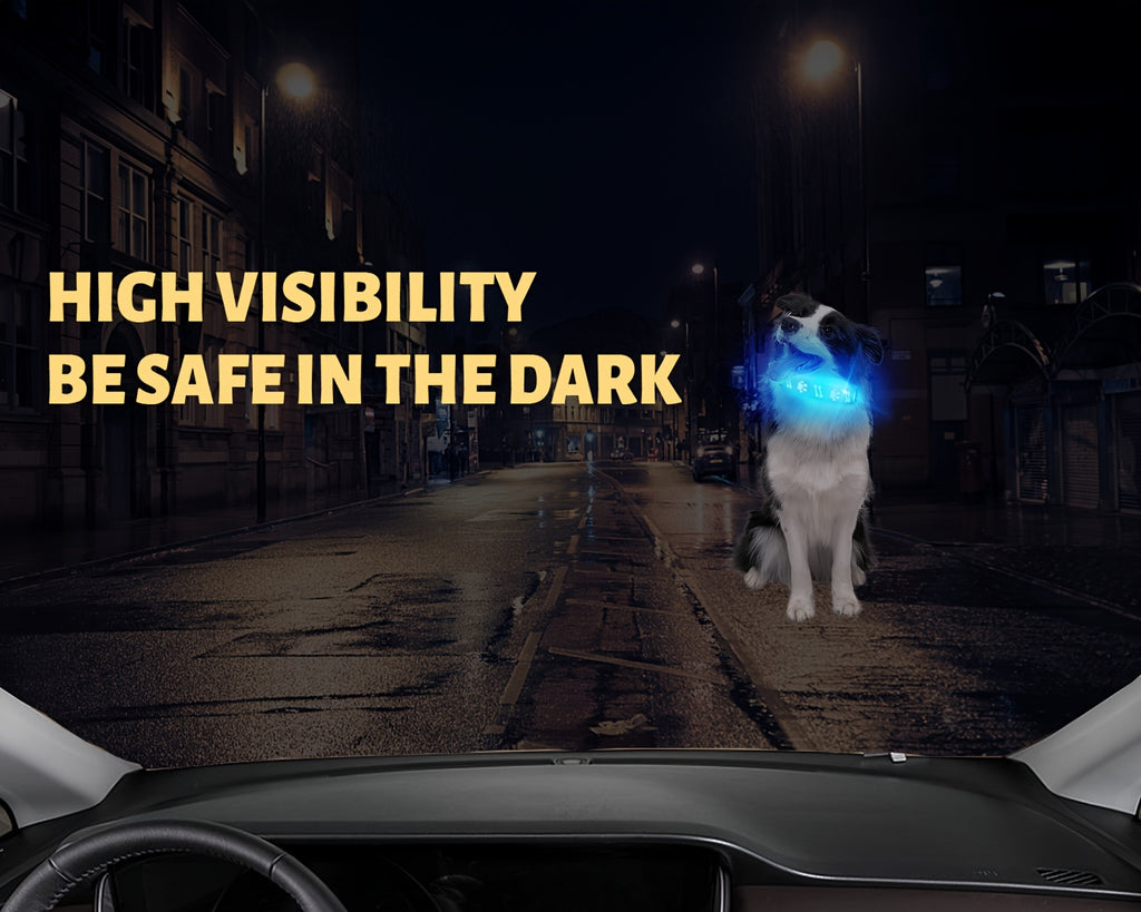 USB-Rechargeable LED Dog Collar with 15 Light Modes
