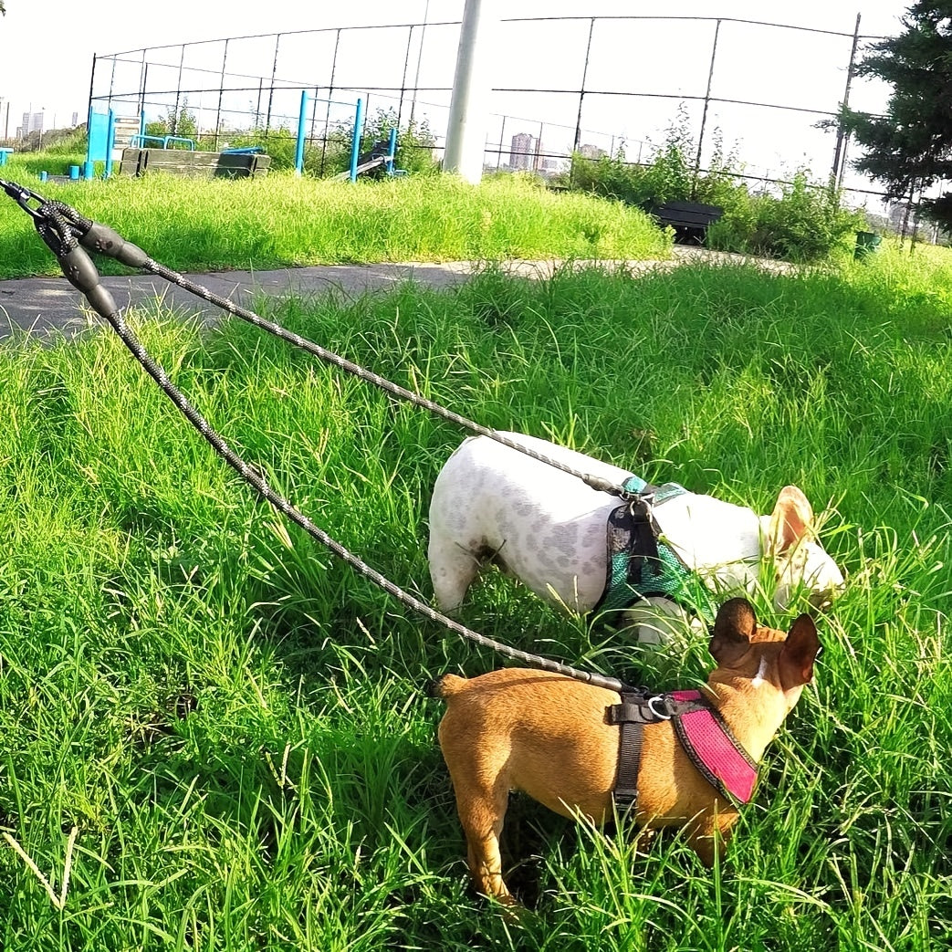 7 colors Taglory Reflective Dual Dog Leash