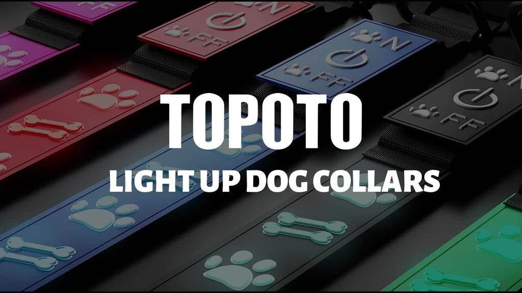 USB-Rechargeable LED Dog Collar with 15 Light Modes