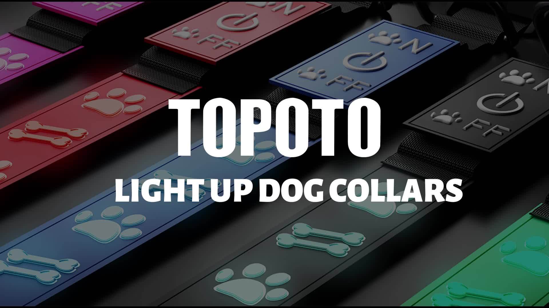 USB-Rechargeable LED Dog Collar with 15 Light Modes