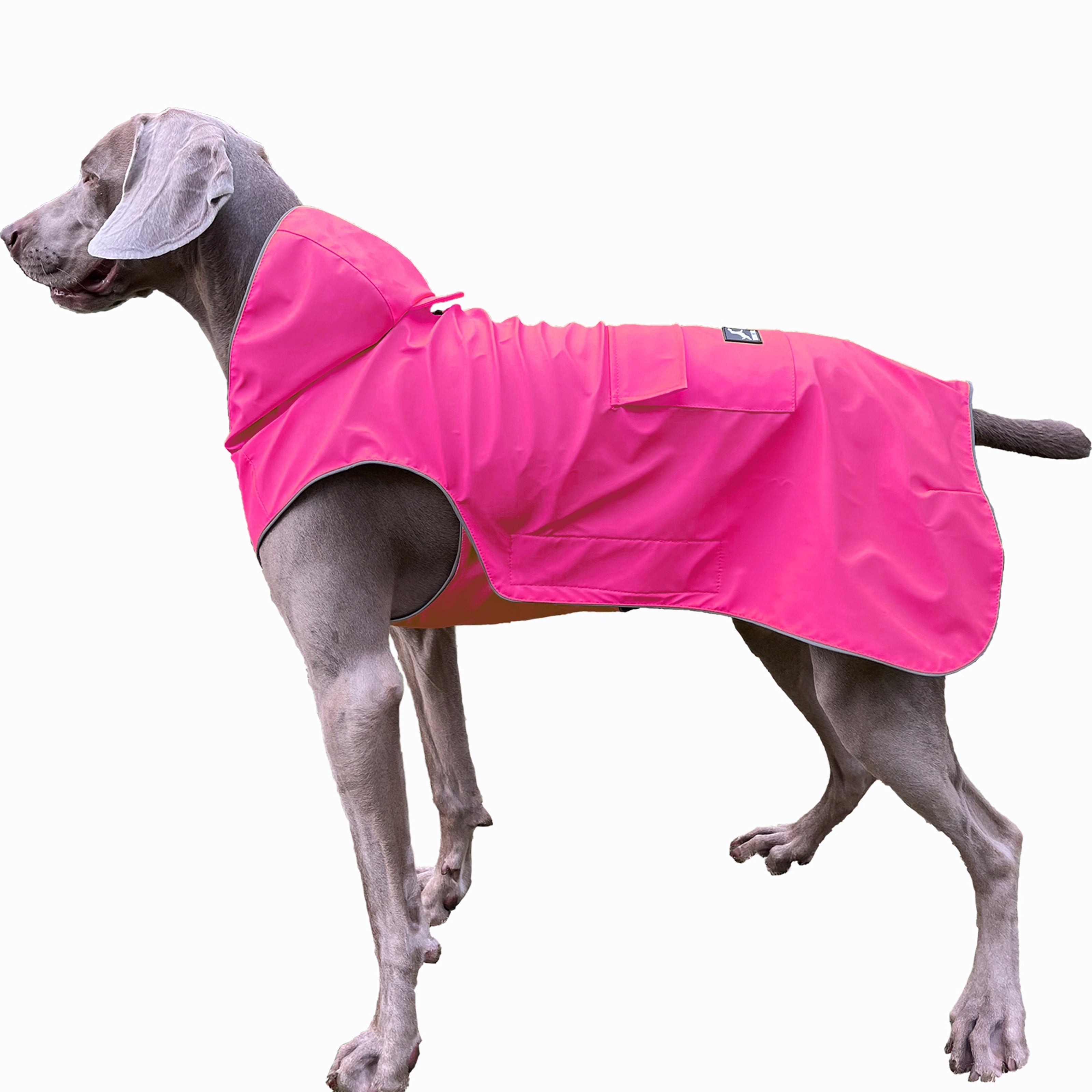 Dog Raincoat, Easy Wear For Small Medium Large Dogs