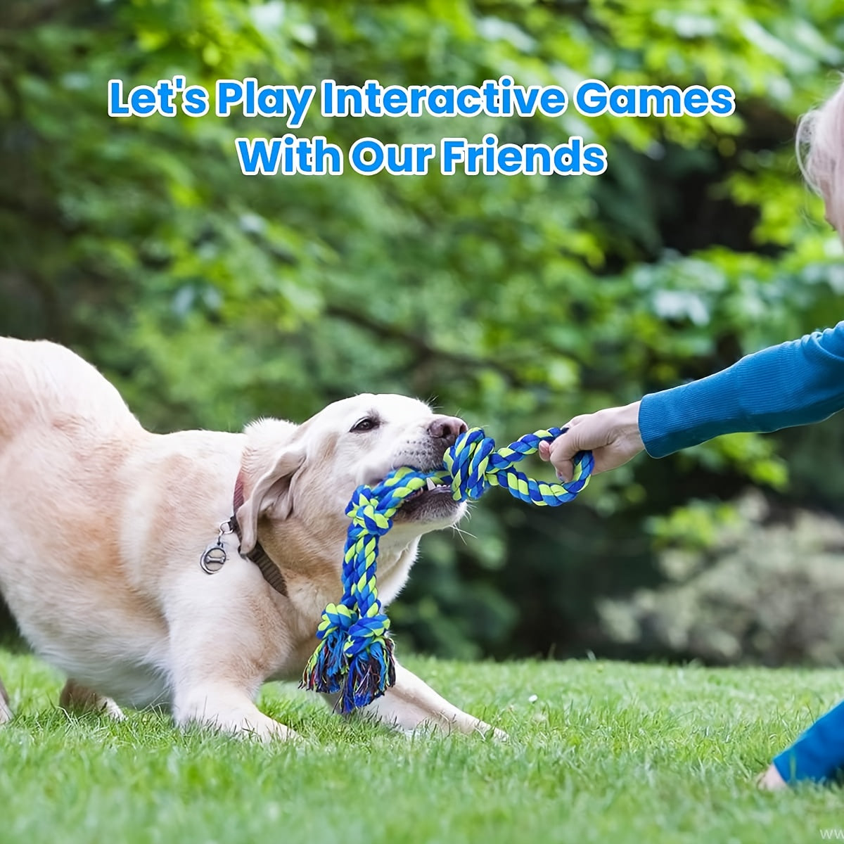 Rope Toys for Large and Medium Dogs