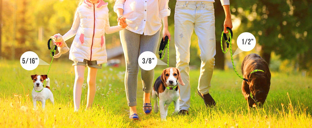 JOYTALE Reflective Dog Leash with Comfortable Padded Handle
