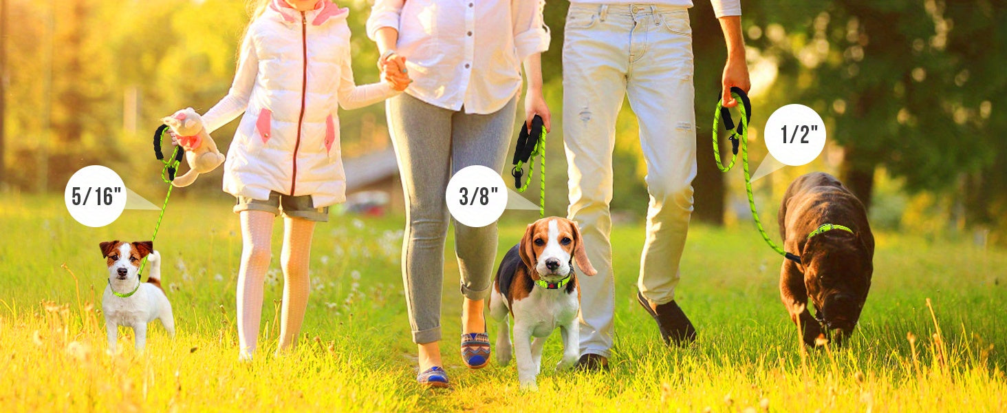 JOYTALE Reflective Dog Leash with Comfortable Padded Handle