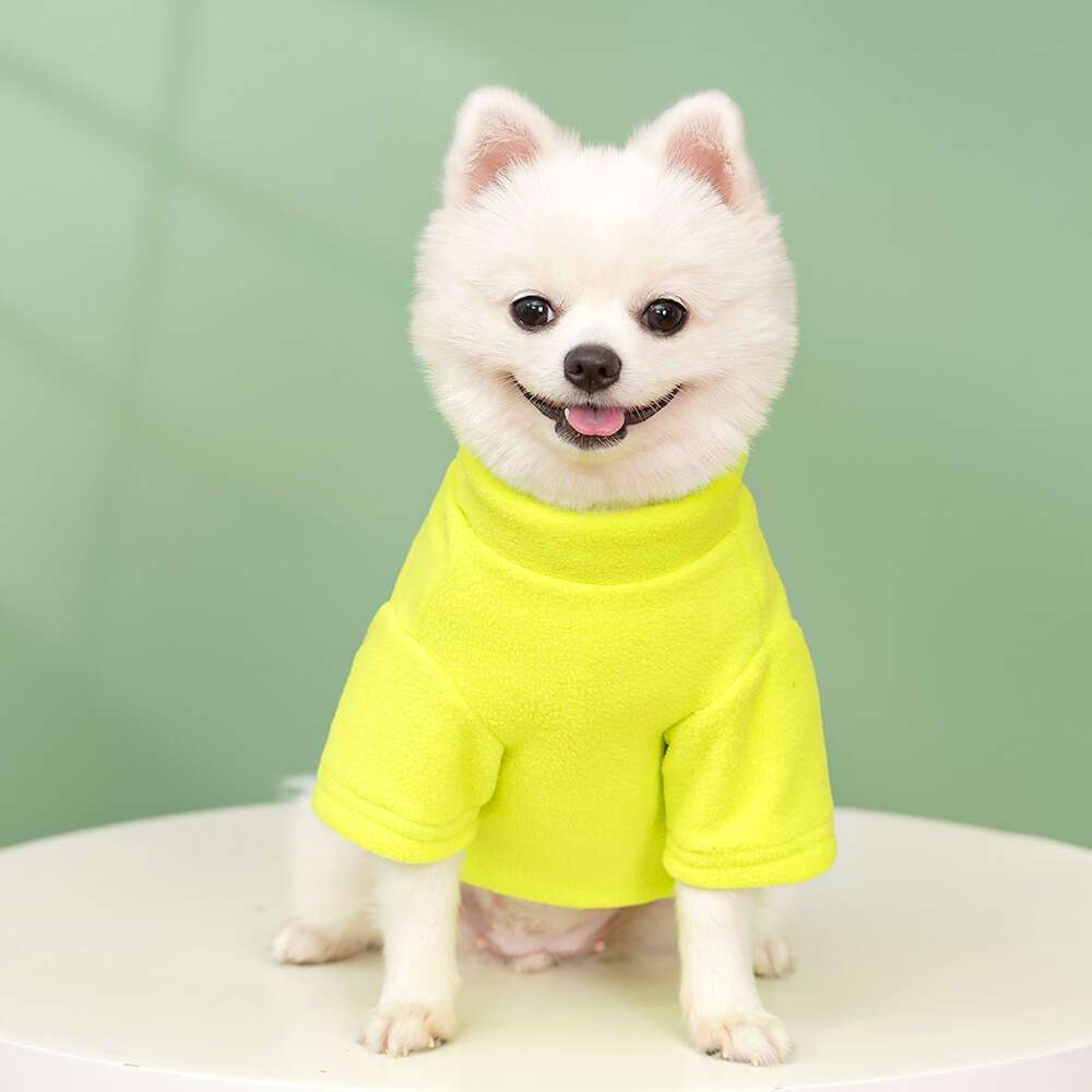 4pcs Set Winter Warm Pet Clothes for Dogs & Cats