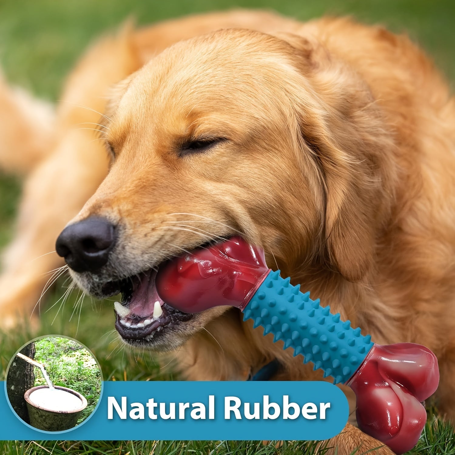 Dog Chew Toys for Medium Dogs