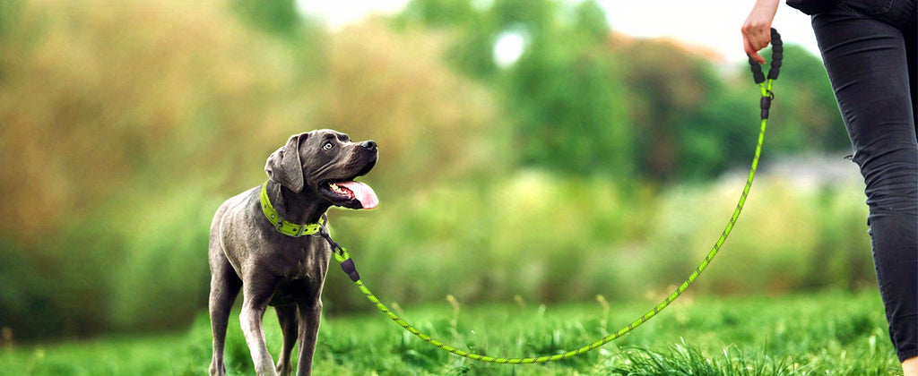 JOYTALE Reflective Dog Leash with Comfortable Padded Handle
