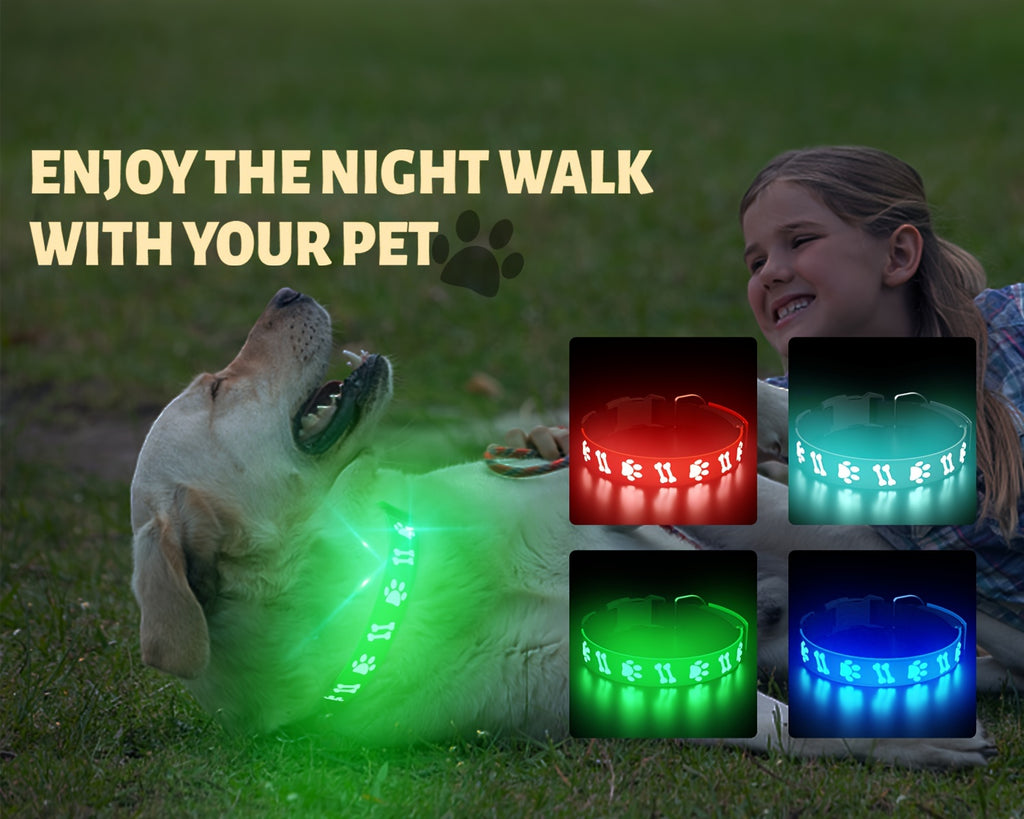 USB-Rechargeable LED Dog Collar with 15 Light Modes