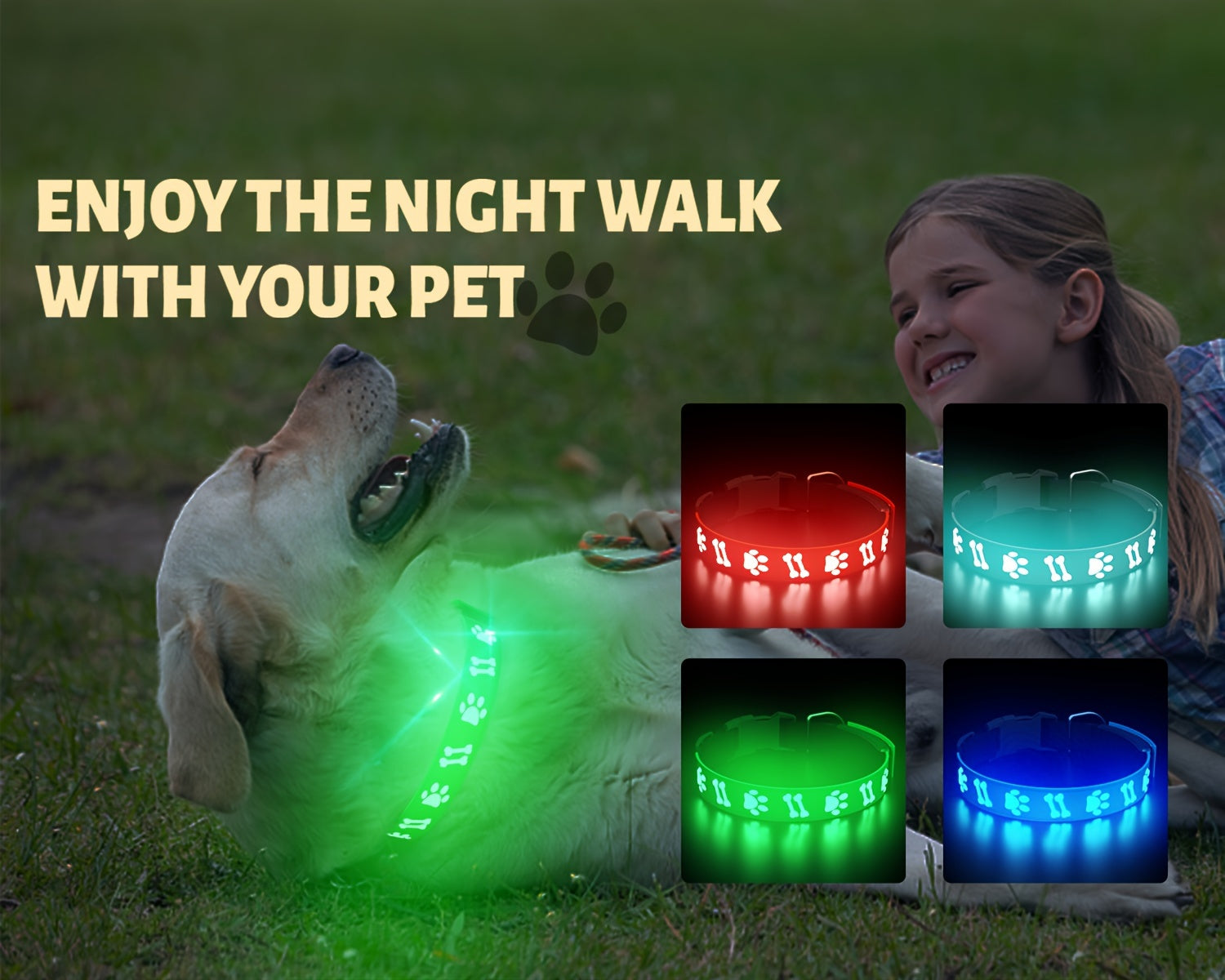 USB-Rechargeable LED Dog Collar with 15 Light Modes