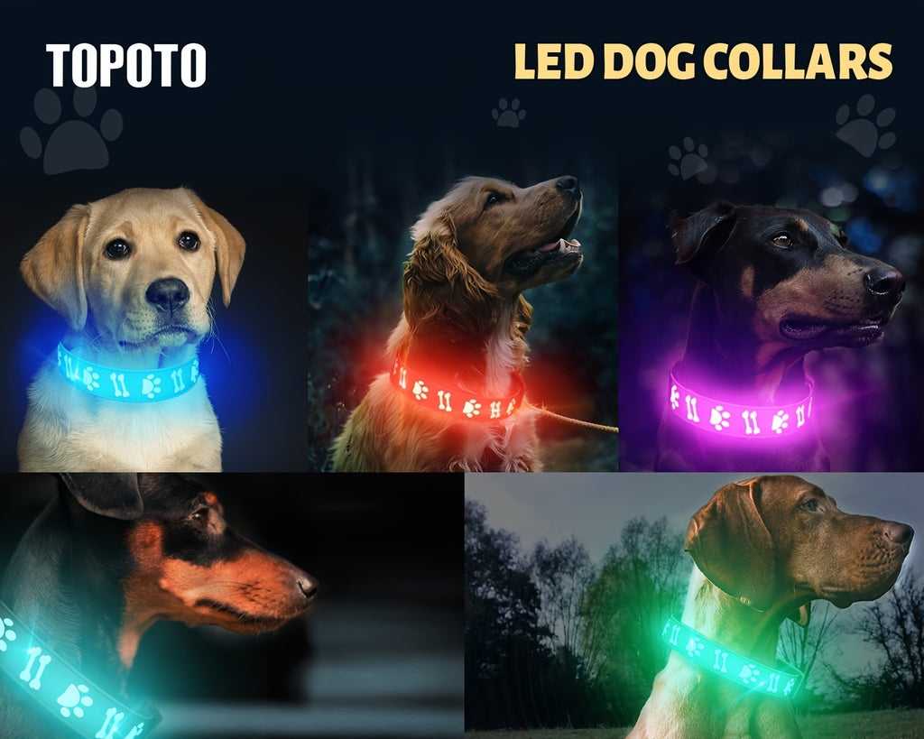USB-Rechargeable LED Dog Collar with 15 Light Modes