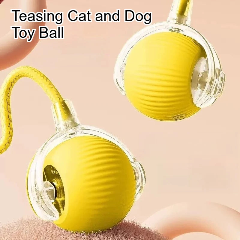 Dog and cat toys, ball, durable, self-entertainment,