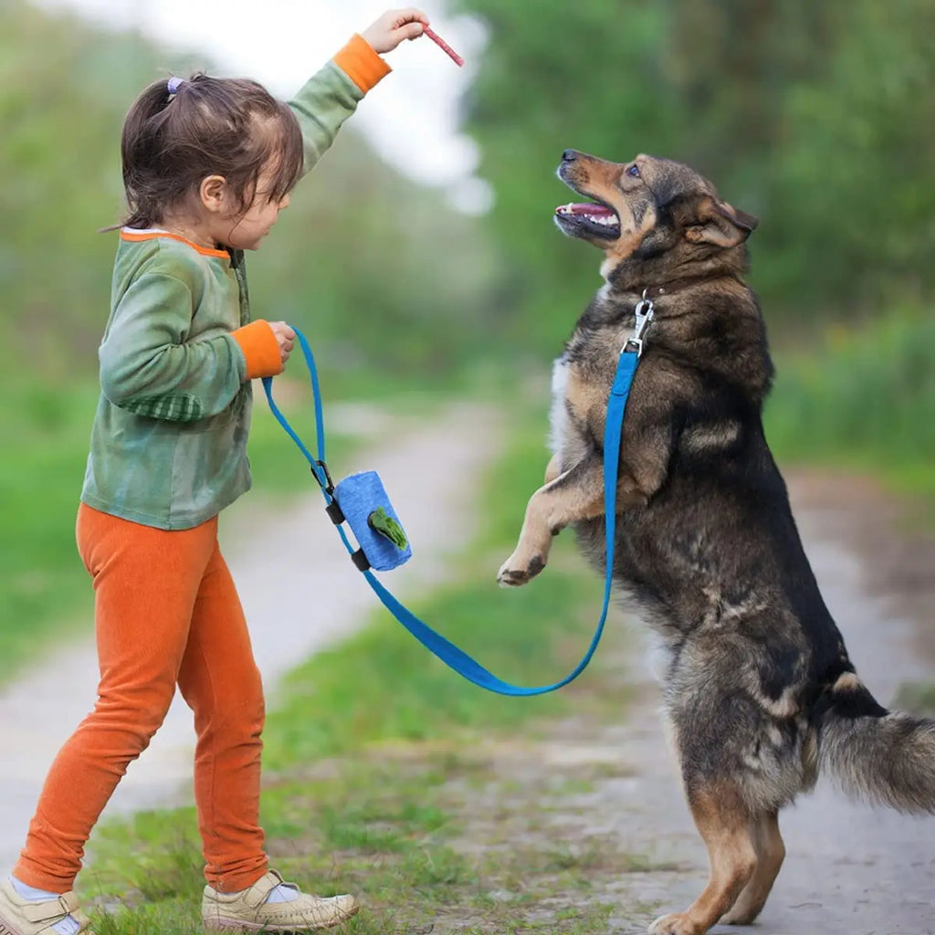 Pet Dog Poop Bag Dispenser