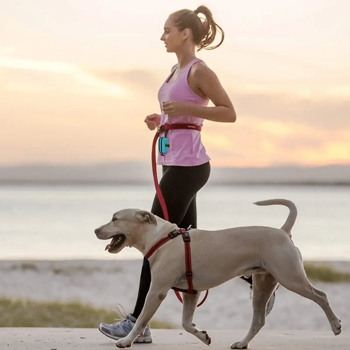 Pet Dog Poop Bag Dispenser