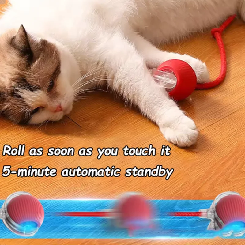 Dog and cat toys, ball, durable, self-entertainment,