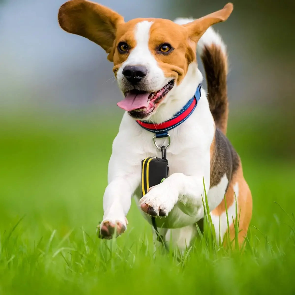 Pet Dog Poop Bag Dispenser