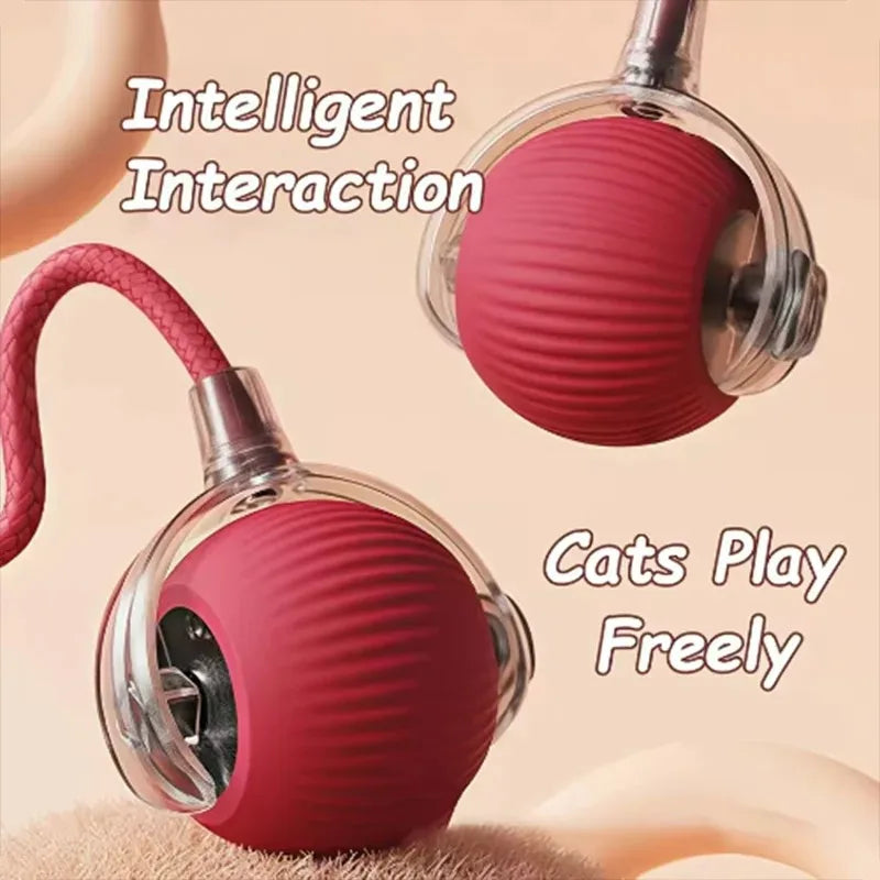 Dog and cat toys, ball, durable, self-entertainment,