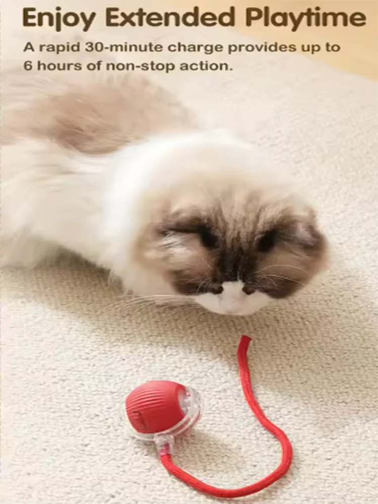 Dog and cat toys, ball, durable, self-entertainment,