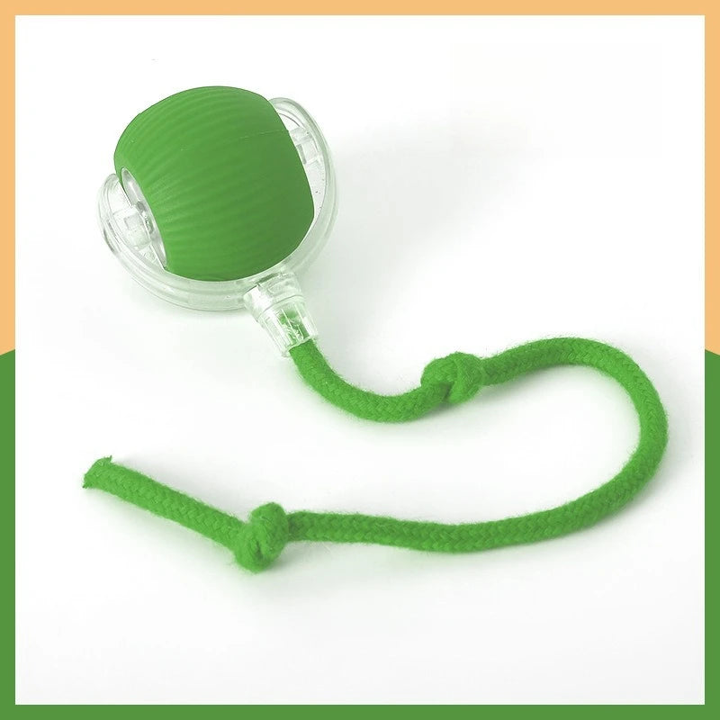 Dog and cat toys, ball, durable, self-entertainment,