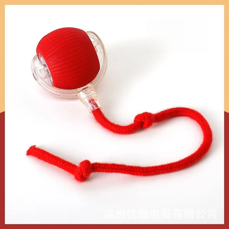 Dog and cat toys, ball, durable, self-entertainment,