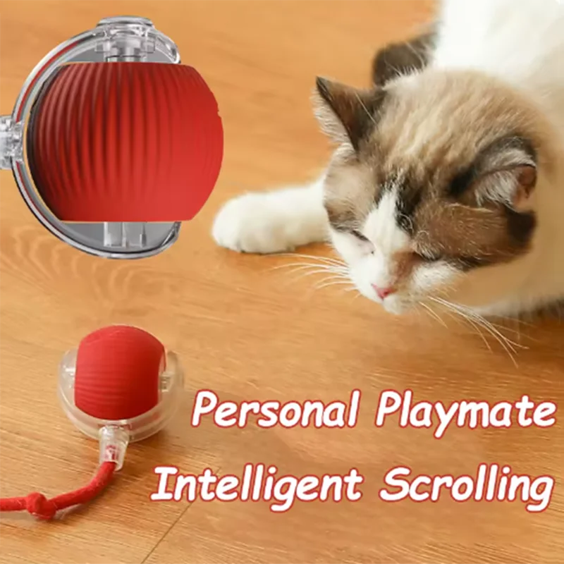 Dog and cat toys, ball, durable, self-entertainment,