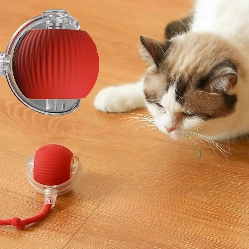Dog and cat toys, ball, durable, self-entertainment,