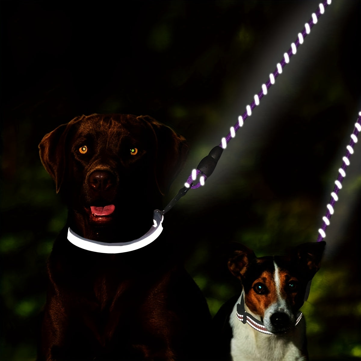 7 colors Taglory Reflective Dual Dog Leash