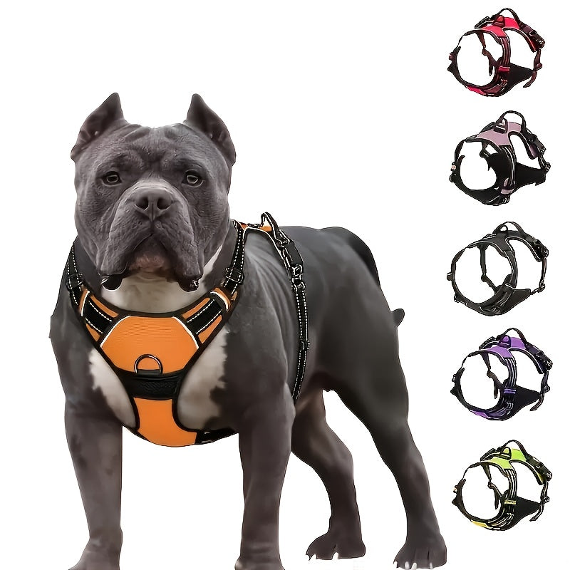 Adjustable No-Pull Dog Harness with Padded Vest and Dual Leash Clips