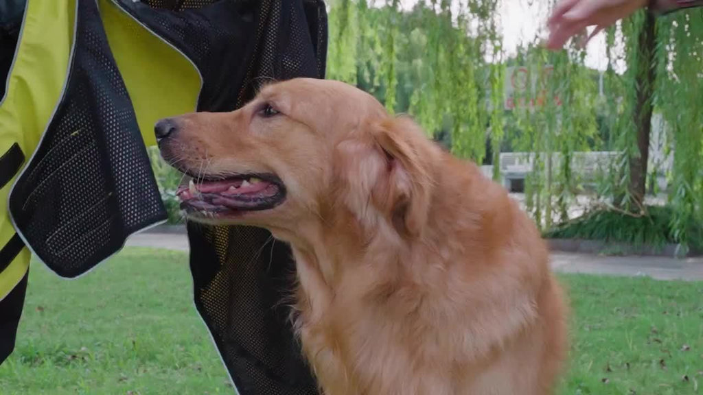Dog Raincoat, Easy Wear For Small Medium Large Dogs
