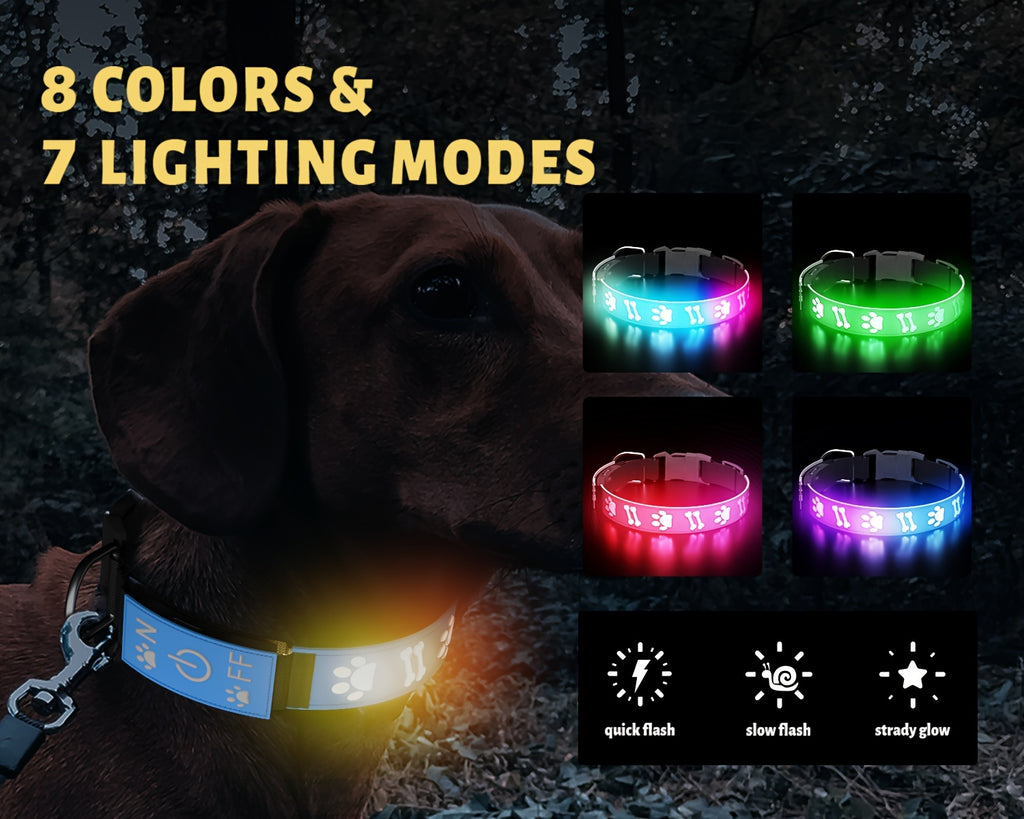 USB-Rechargeable LED Dog Collar with 15 Light Modes