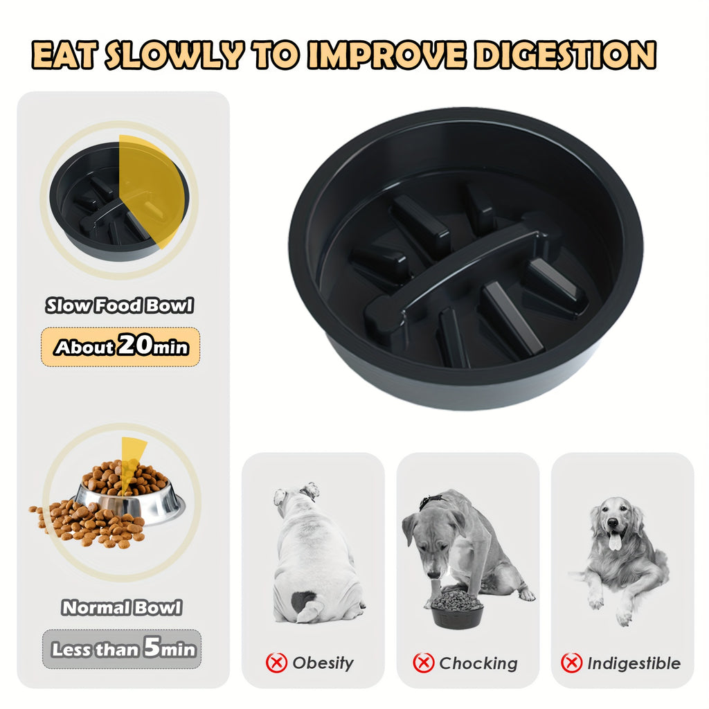 Elevated Dog Bowl With A Slow Feeder Dog Bowl