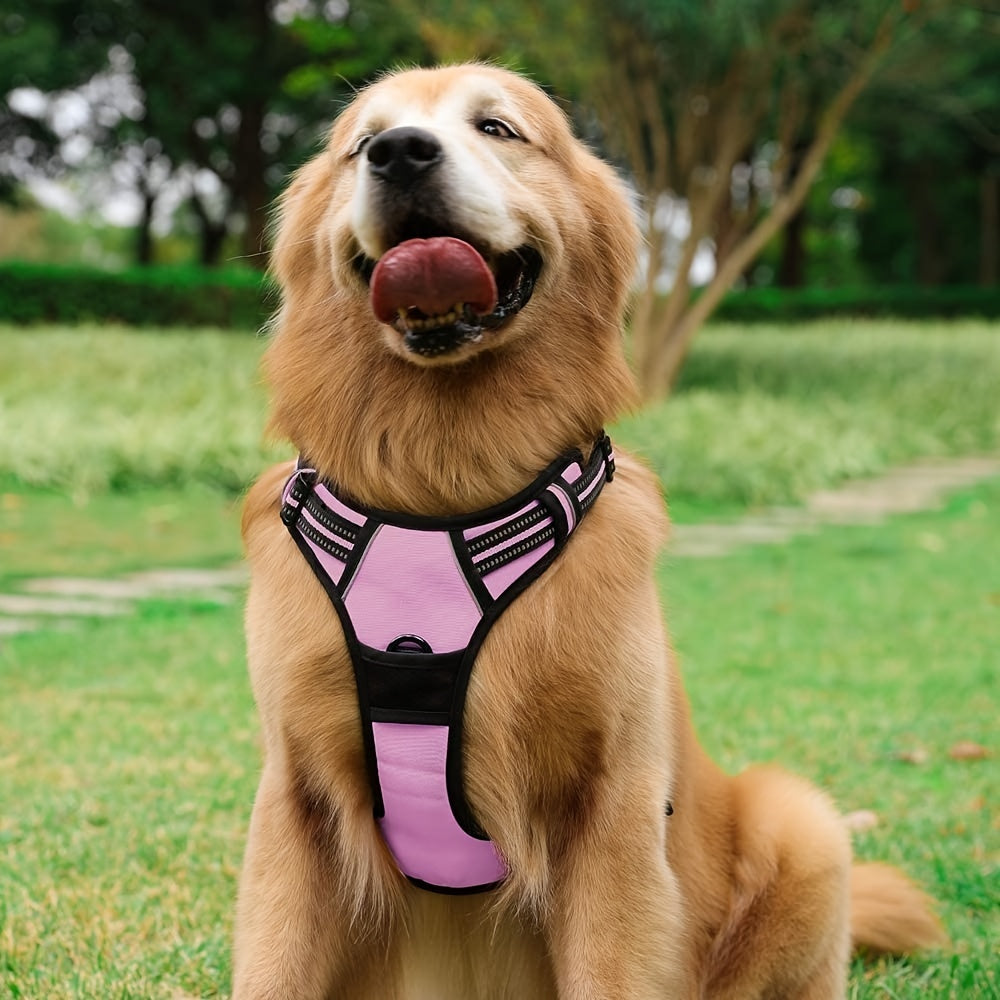 Adjustable No-Pull Dog Harness with Padded Vest and Dual Leash Clips