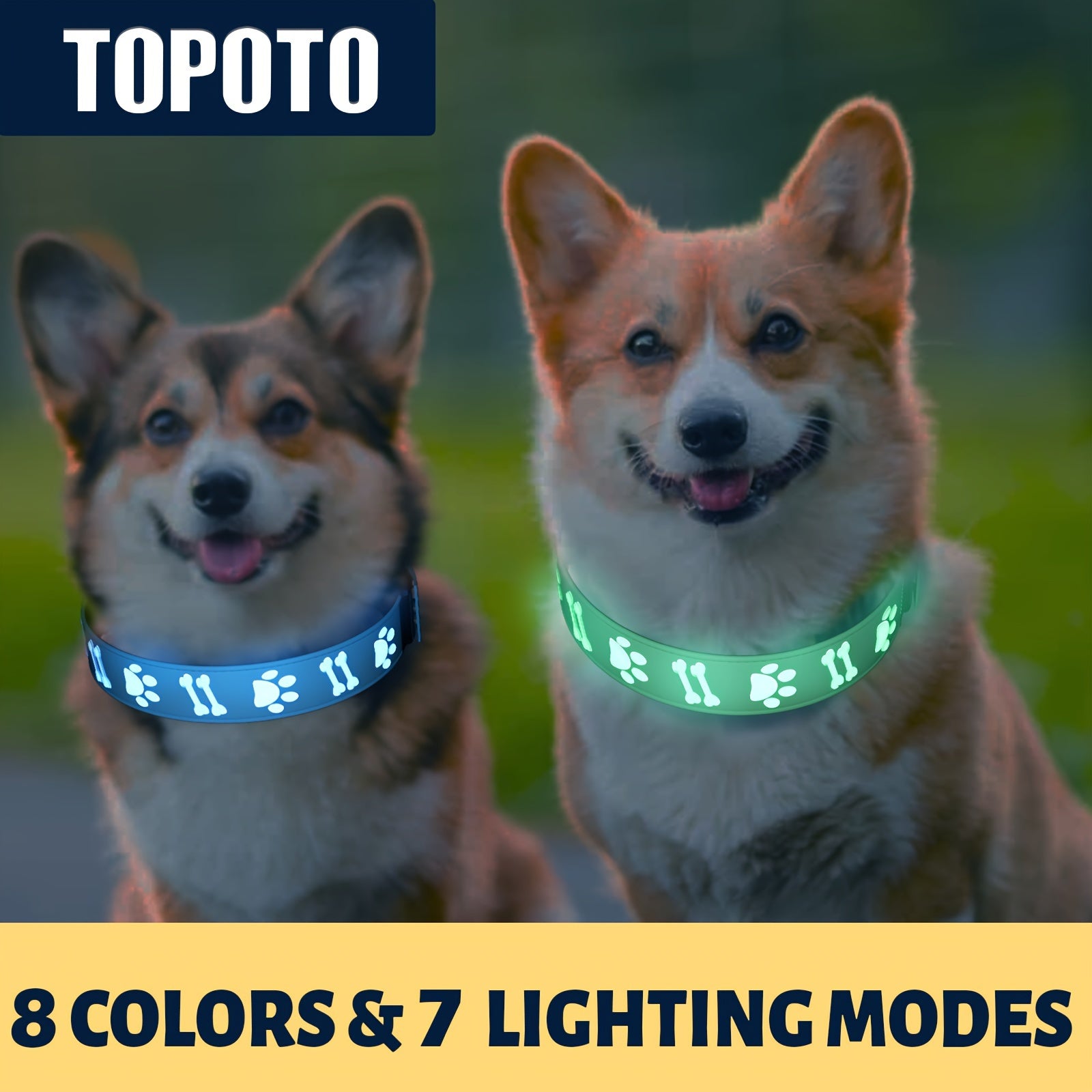 USB-Rechargeable LED Dog Collar with 15 Light Modes
