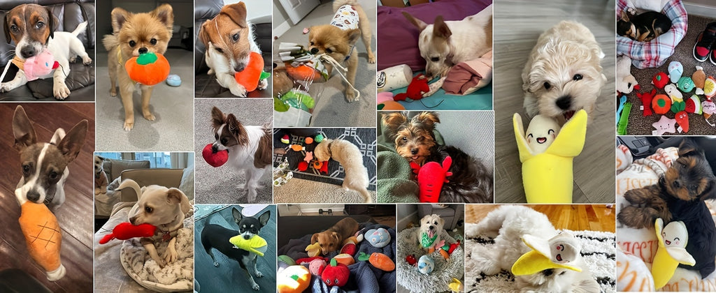 Nocciola Dog Squeaky Toys