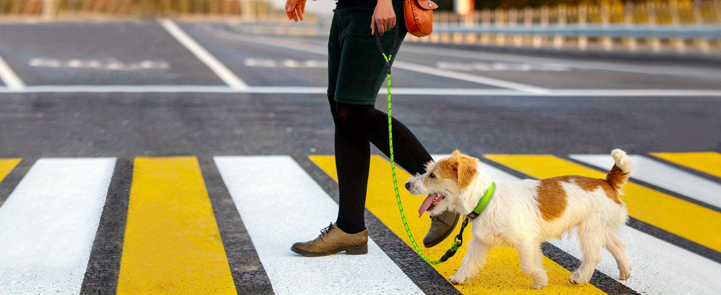 JOYTALE Reflective Dog Leash with Comfortable Padded Handle